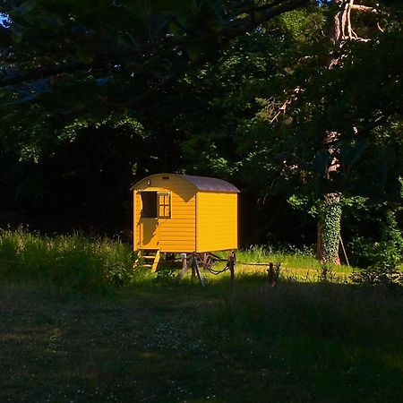 Blackstairs Shepherds Huts Killedmond Exteriér fotografie