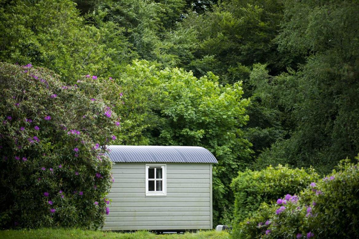 Blackstairs Shepherds Huts Killedmond Exteriér fotografie