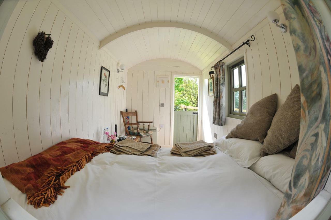 Blackstairs Shepherds Huts Killedmond Exteriér fotografie
