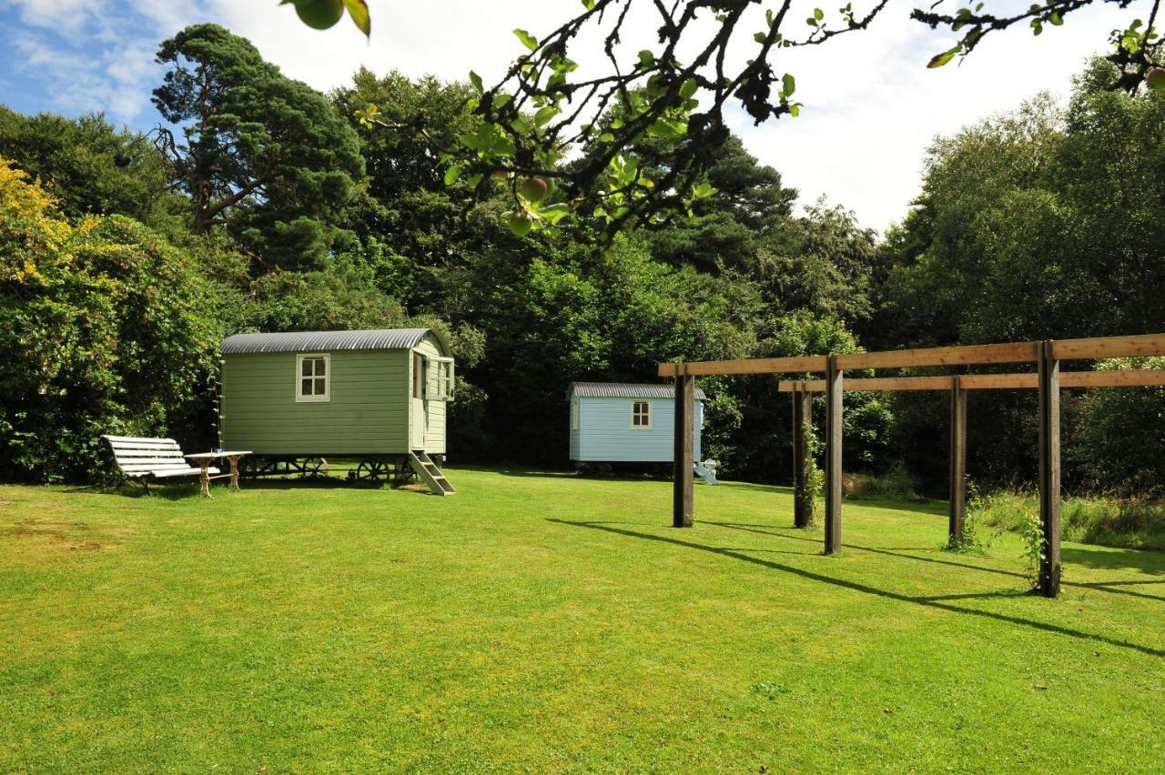 Blackstairs Shepherds Huts Killedmond Exteriér fotografie