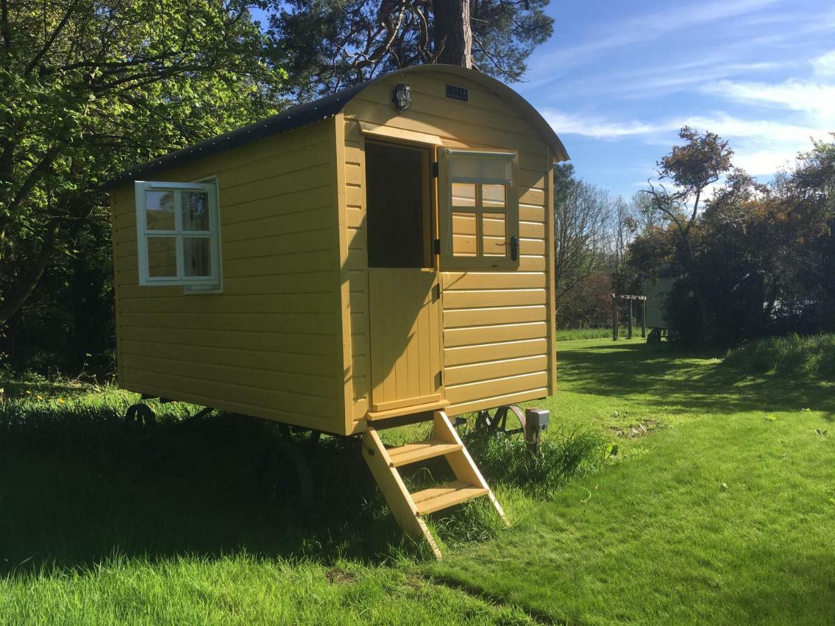Blackstairs Shepherds Huts Killedmond Exteriér fotografie
